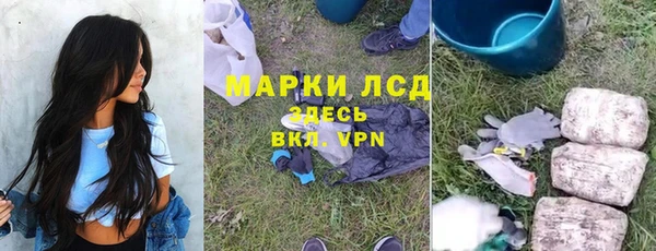 гидра Осинники