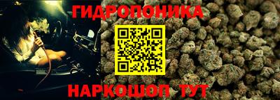 прущий лед Гатчина