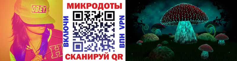 как найти   Курчалой  OMG зеркало  Галлюциногенные грибы Magic Shrooms 