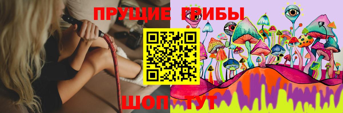 Курчалой  Галлюциногенные грибы Psilocybine cubensis  закладка  Вход с VPN 