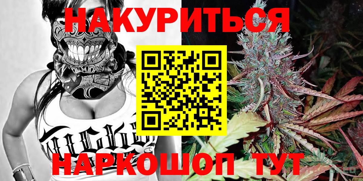 Канабис сатива  Вход с VPN  Канабис MAZAR  Конопля MAZAR  Курчалой 